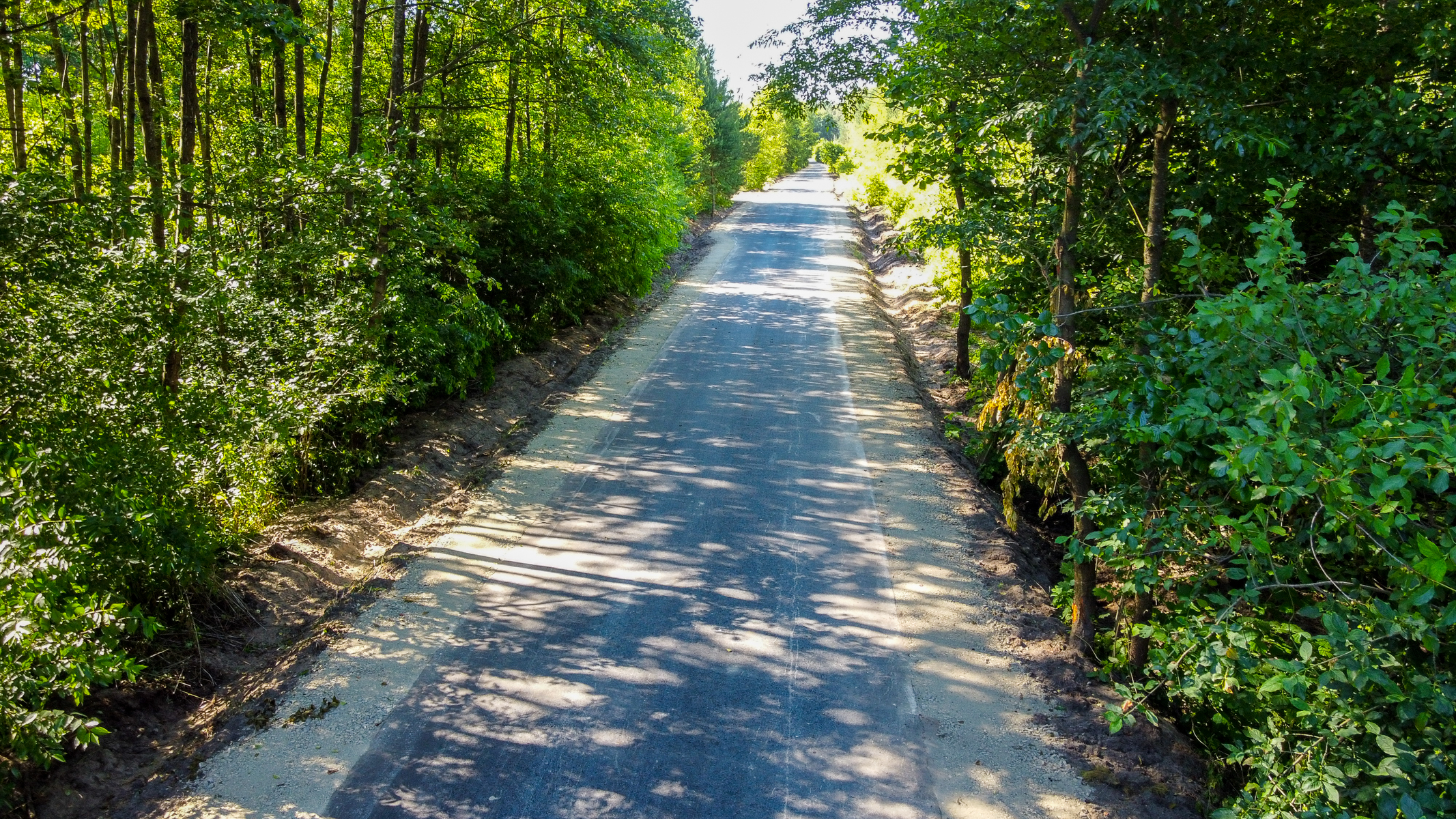 Wąska asfaltowa droga otoczona gęstym zielonym lasem, cienie drzew padające na jezdnię, jasne światło słoneczne.