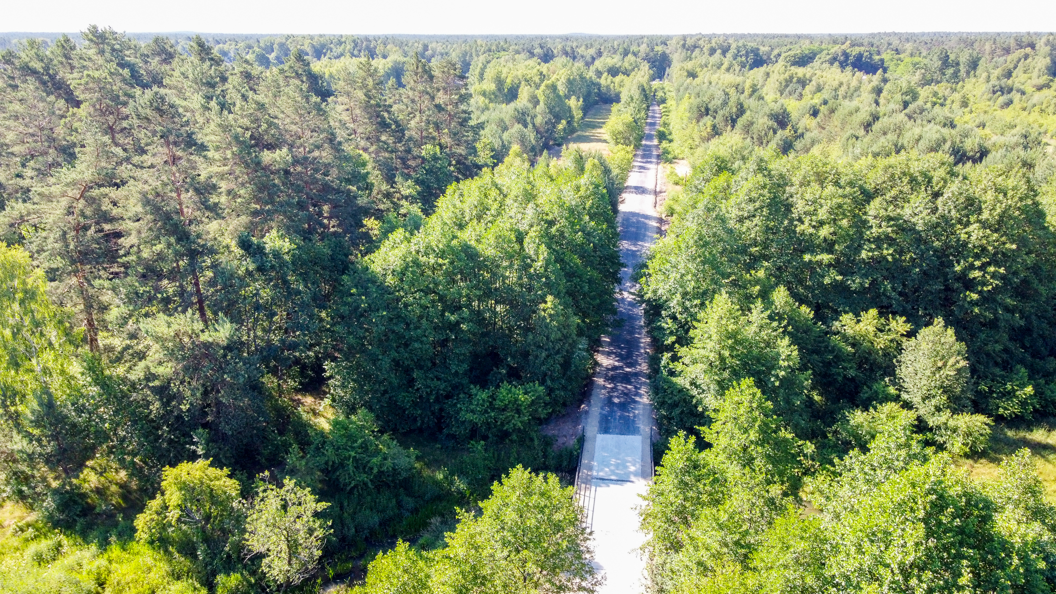 Droga przez gęsty, zielony las z drzewami o różnorodnych odcieniach zieleni, widziana z lotu ptaka w słoneczny dzień.