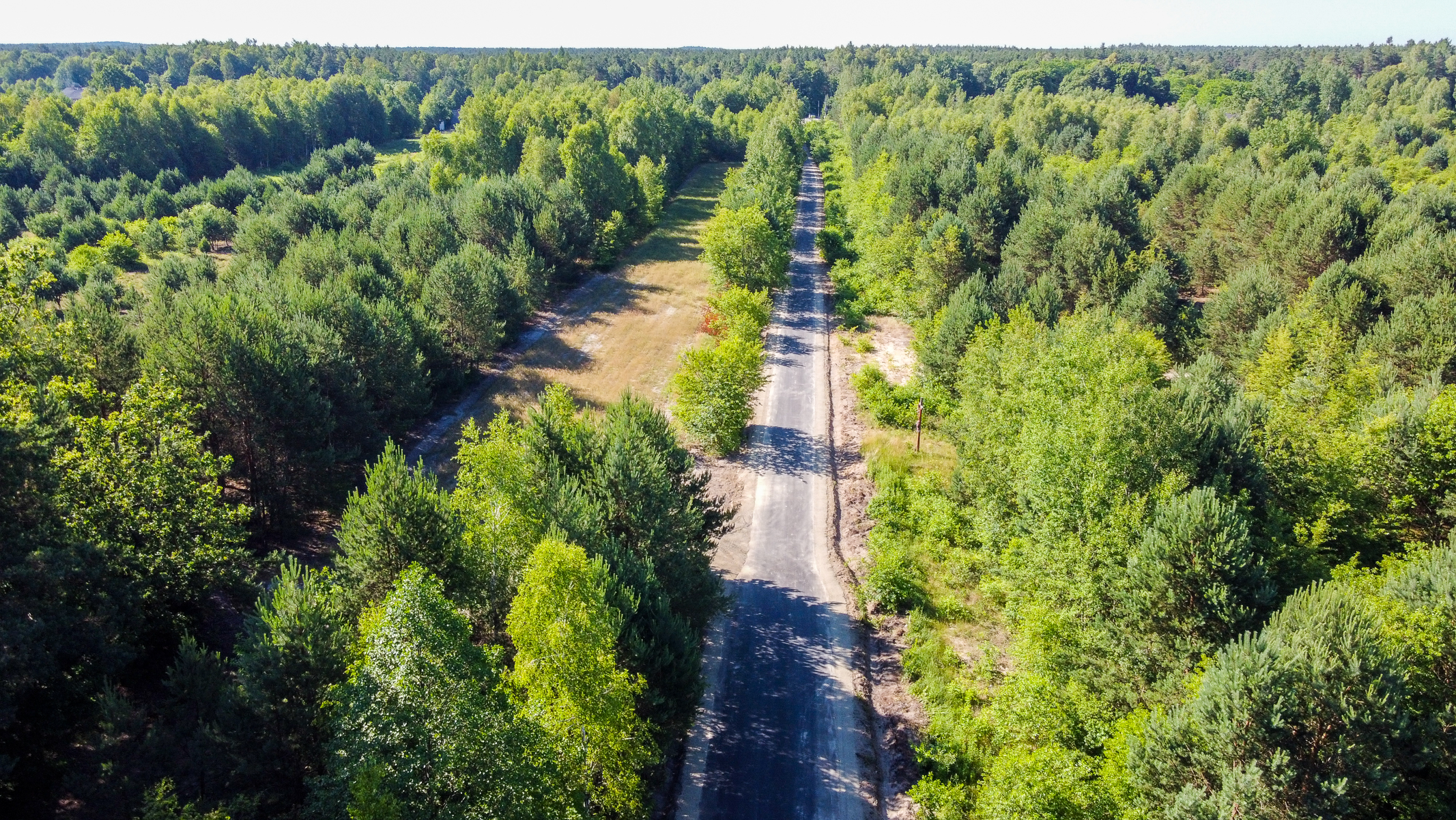 Wąska asfaltowa droga przebiegająca przez gęsty zielony las z wysokimi drzewami i świeżą roślinnością po obu stronach.