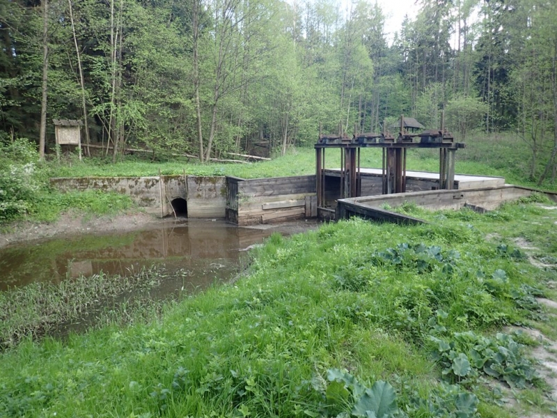 Zielona trawa na pierwszym planie, za nią betonowa konstrukcja z metalowymi elementami i wodą, w tle las z drzewami o świeżych zielonych liściach.