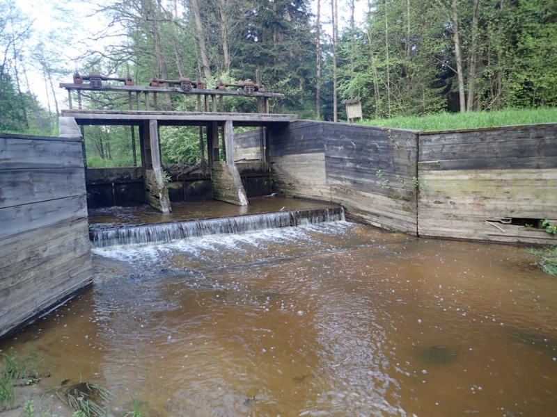 Niska drewniana śluza na rzece z płynącą brązową wodą, otoczona zielonymi drzewami i trawą.