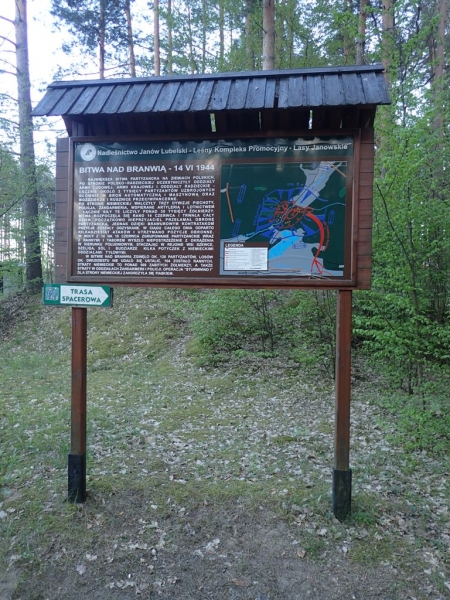 Drewniana tablica informacyjna z mapą i tekstem o bitwie nad Braniwią 14 VI 1944, otoczona lasem, zielony znak z napisem "Trasa spacerowa" po lewej stronie.
