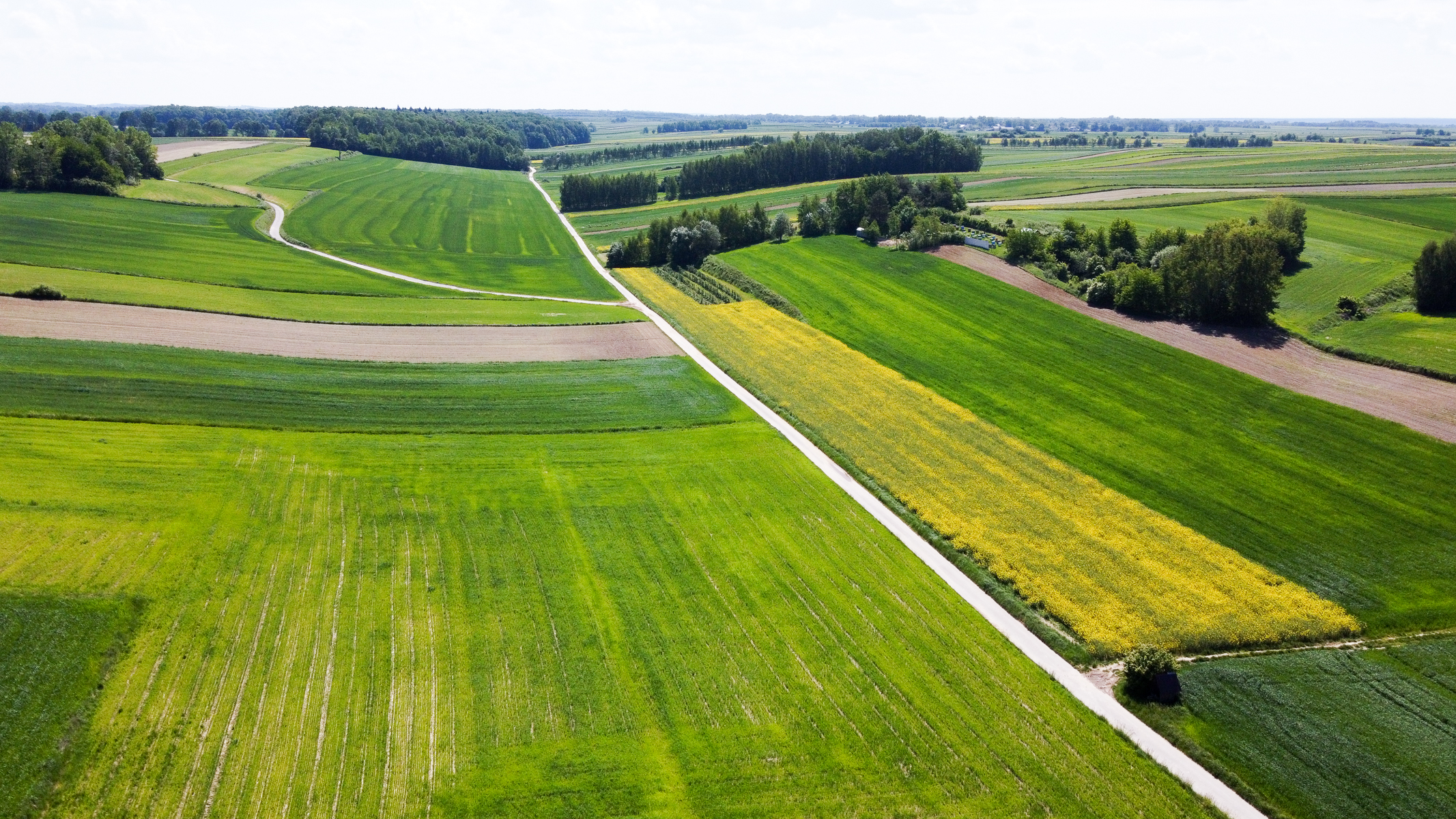 Zielone i żółte pola uprawne z drogą przebiegającą przez środek, na horyzoncie pasma drzew i rozległy krajobraz rolniczy pod jasnym niebem.
