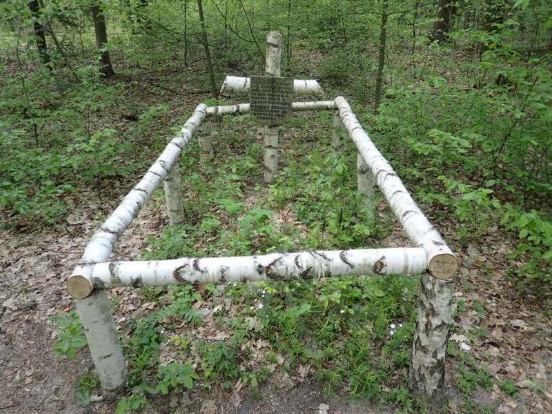 Ogrodzenie i krzyż z białych, obrobionych pni brzozy na tle zielonego lasu.