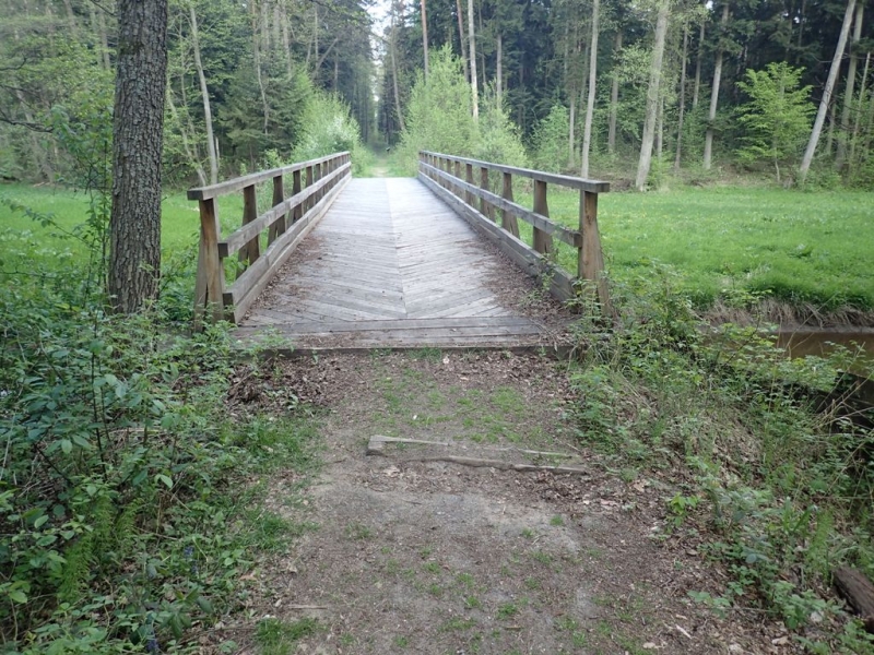 Drewniany most z barierkami nad wąskim ciekiem wodnym, otoczony zielonym lasem i trawiastą łąką.