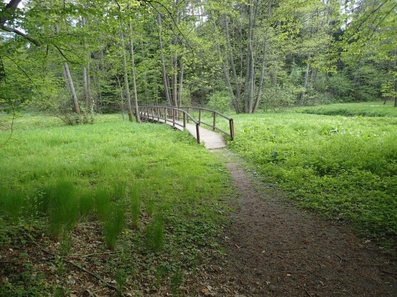 Wąska drewniana kładka z poręczą nad zielonym terenem, otoczona drzewami i trawiastym polem, ścieżka prowadząca do mostku w lesie.