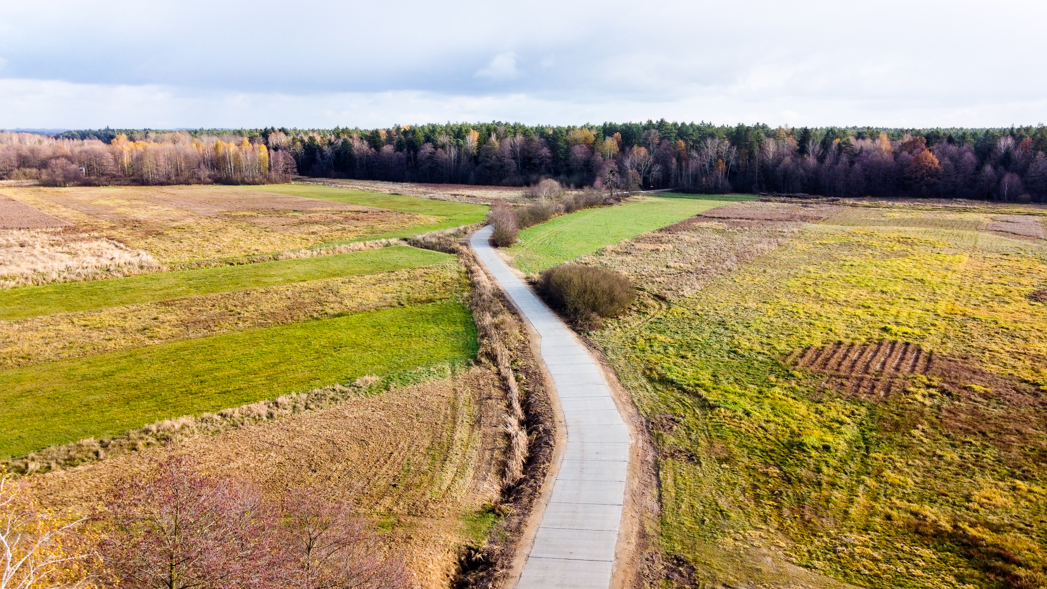 Wąska, kręta droga przez pola o różnych odcieniach zieleni i żółci, w tle las z drzew o jesiennych barwach pod pochmurnym niebem.