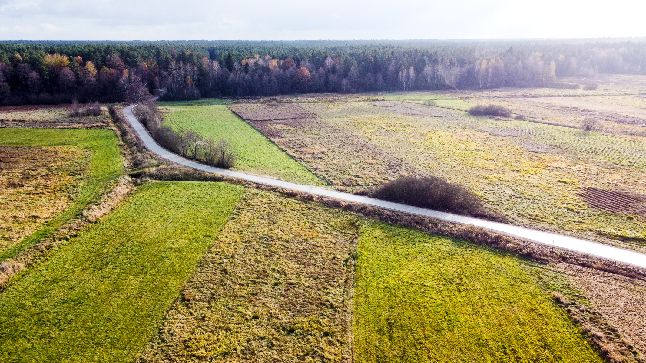 Polana z podzielonymi na prostokąty fragmentami łąk i traw, między nimi wąska droga, w tle las z drzewami o jesiennych barwach.