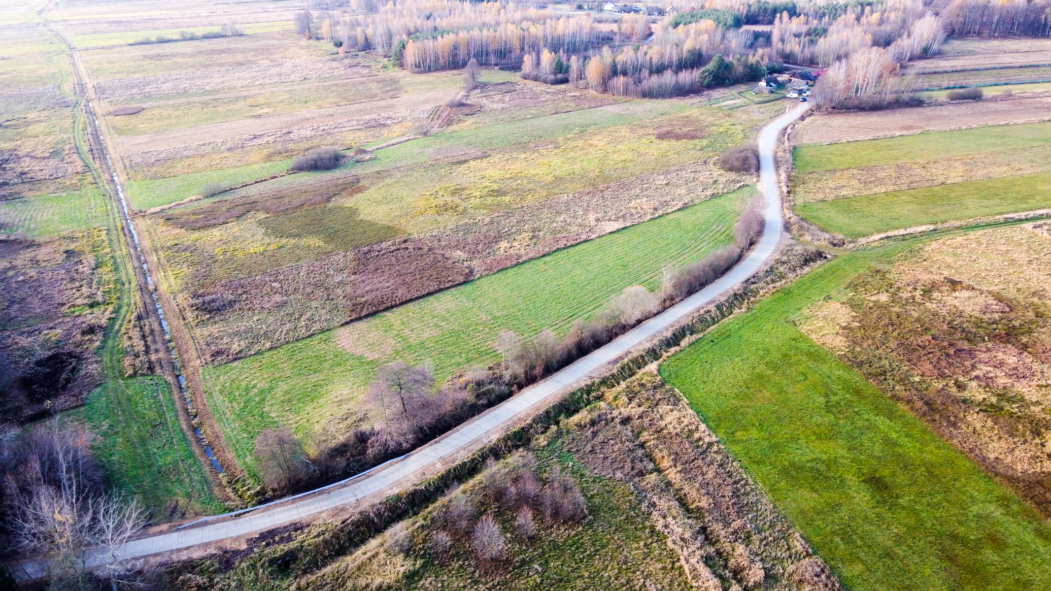Droga przez pola i łąki o różnych odcieniach zieleni i brązu, na skraju lasu z drzewami o jesiennych kolorach.