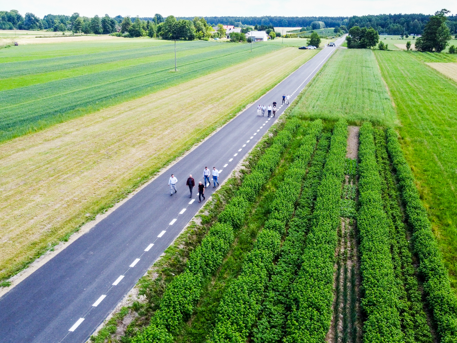 Grupa ludzi idących asfaltową drogą wśród zielonych upraw i pól, w tle drzewa oraz budynki.