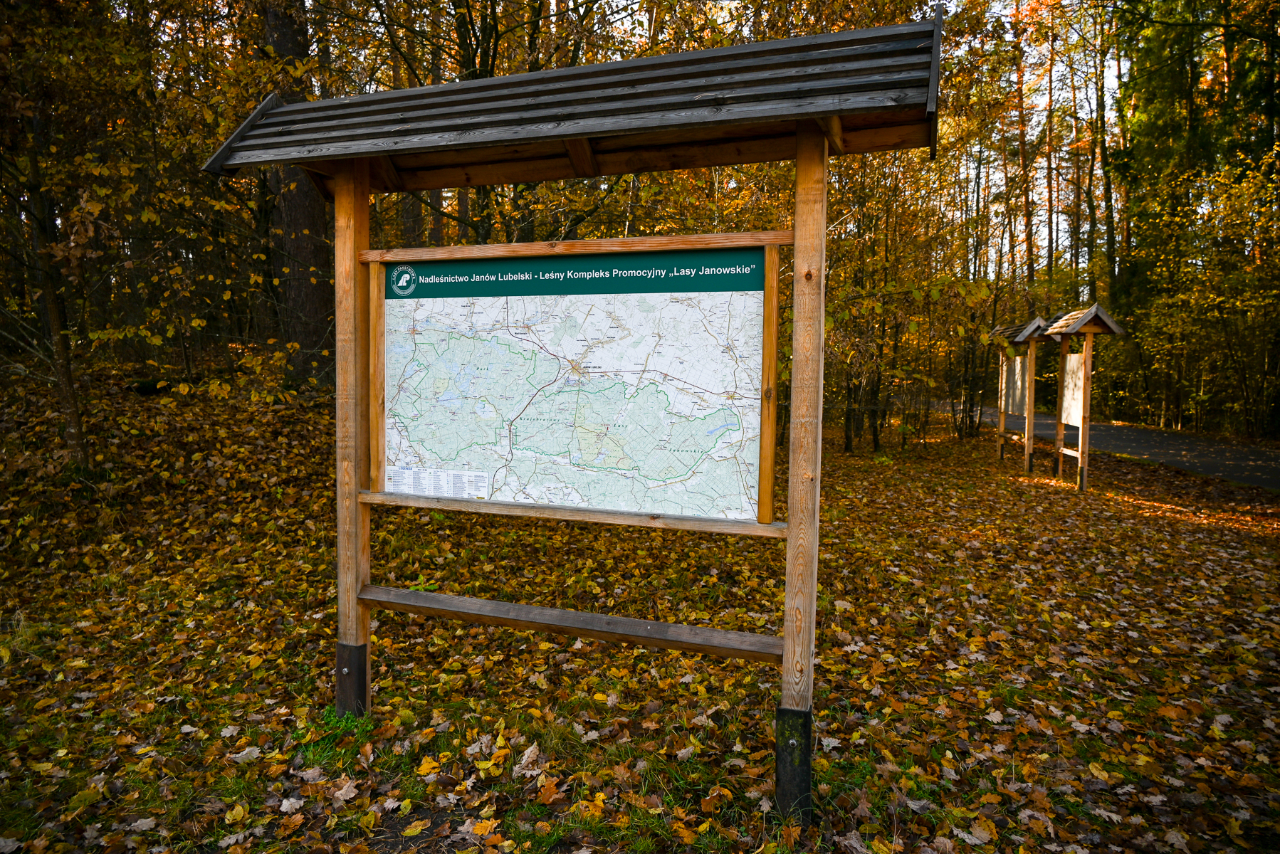 Tablica informacyjna z mapą na drewnianej konstrukcji z daszkiem, otoczona jesiennym lasem z żółtymi i brązowymi opadłymi liśćmi.