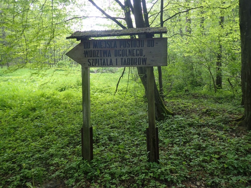 Drewniana tablica z napisem w języku polskim, strzałka skierowana w lewo, otoczenie zielonego lasu z drzewami i niską roślinnością.
