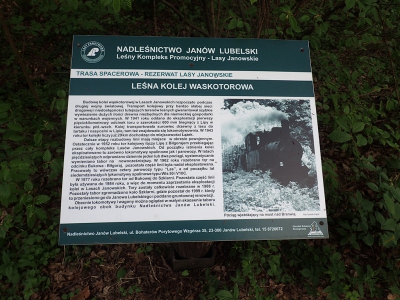 Tablica informacyjna o wąskotorowej kolejce leśnej Janów Lubelski, tekst biały na zielonym tle, zdjęcie czarno-białe pociągu jadącego nad mostem, otoczenie zielone liście.