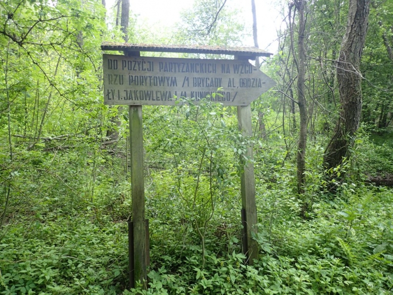 Drewniany, prostokątny znak z napisem w języku polskim na tle gęstych zielonych krzewów i drzew w lesie.